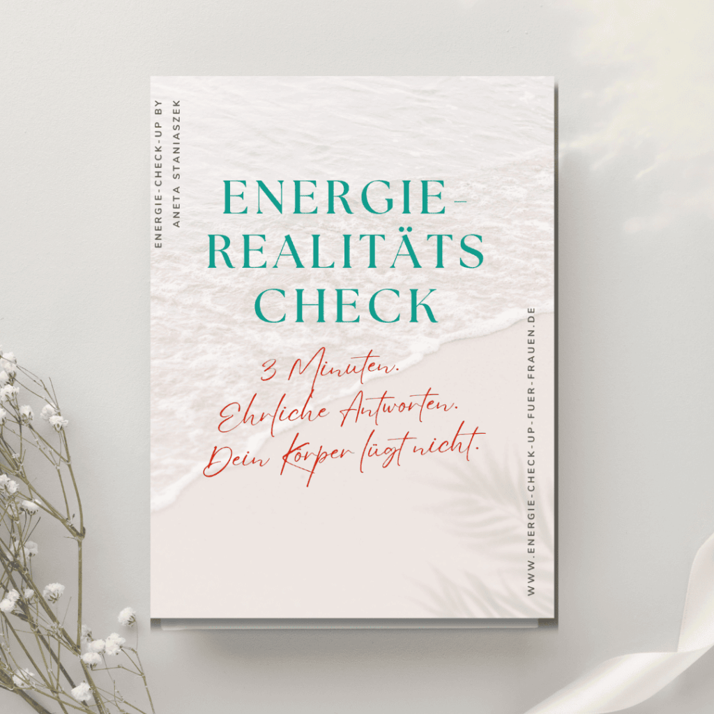 Energie Realitäts-Check